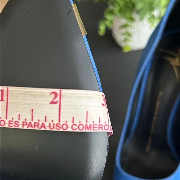 Giuseppe Zanotti Royal Blue Heels with Gold Detail - Picture 10 of 16